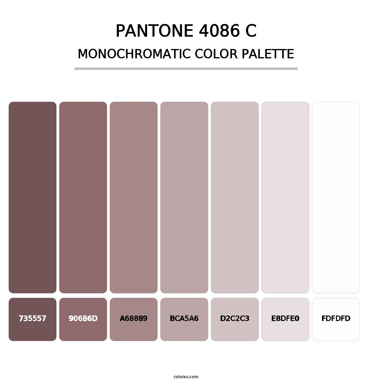 PANTONE 4086 C - Monochromatic Color Palette