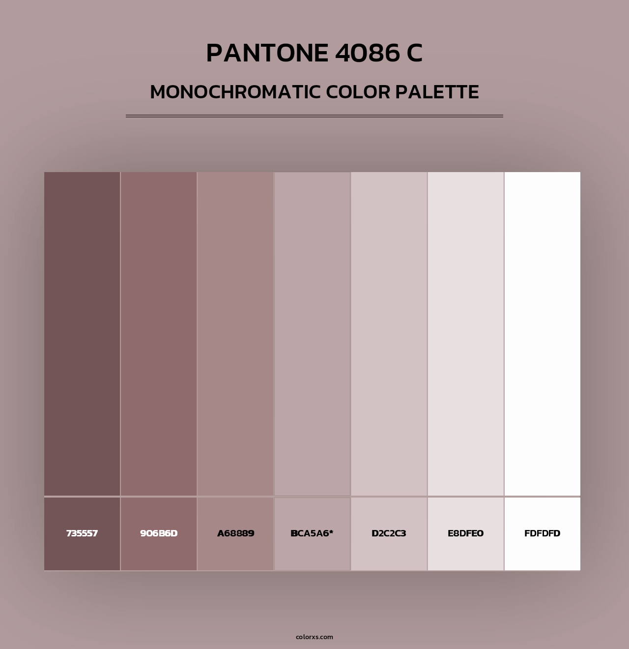 PANTONE 4086 C - Monochromatic Color Palette