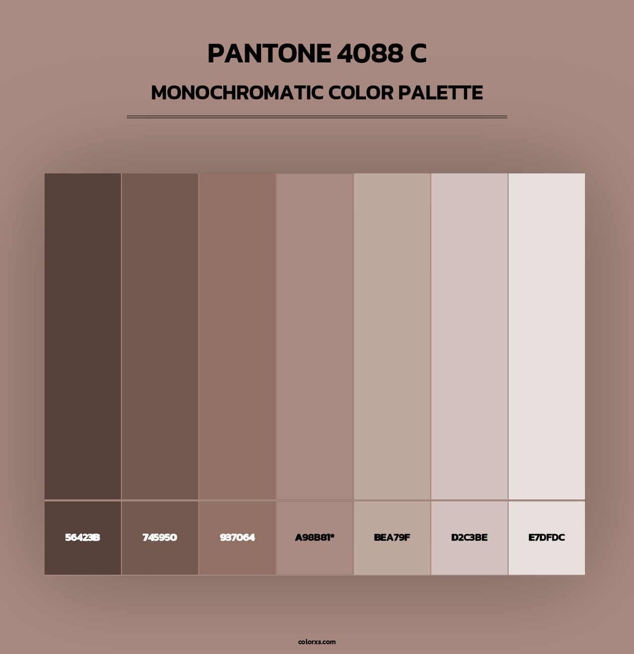PANTONE 4088 C - Monochromatic Color Palette
