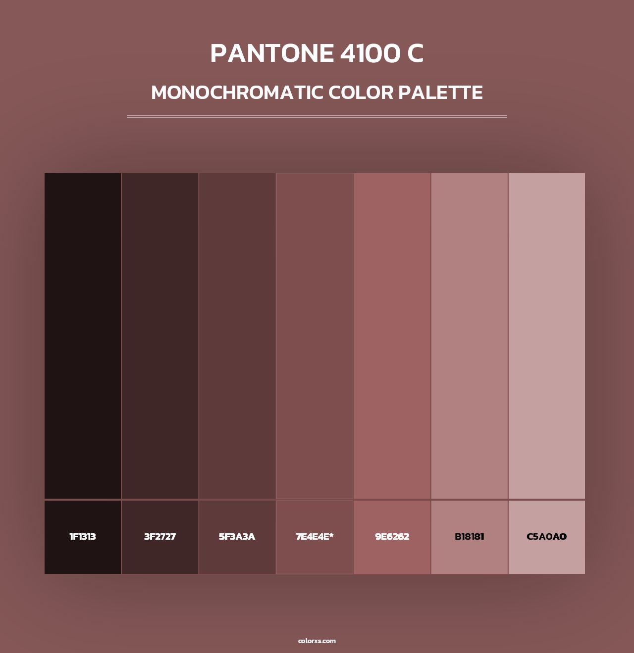 PANTONE 4100 C - Monochromatic Color Palette