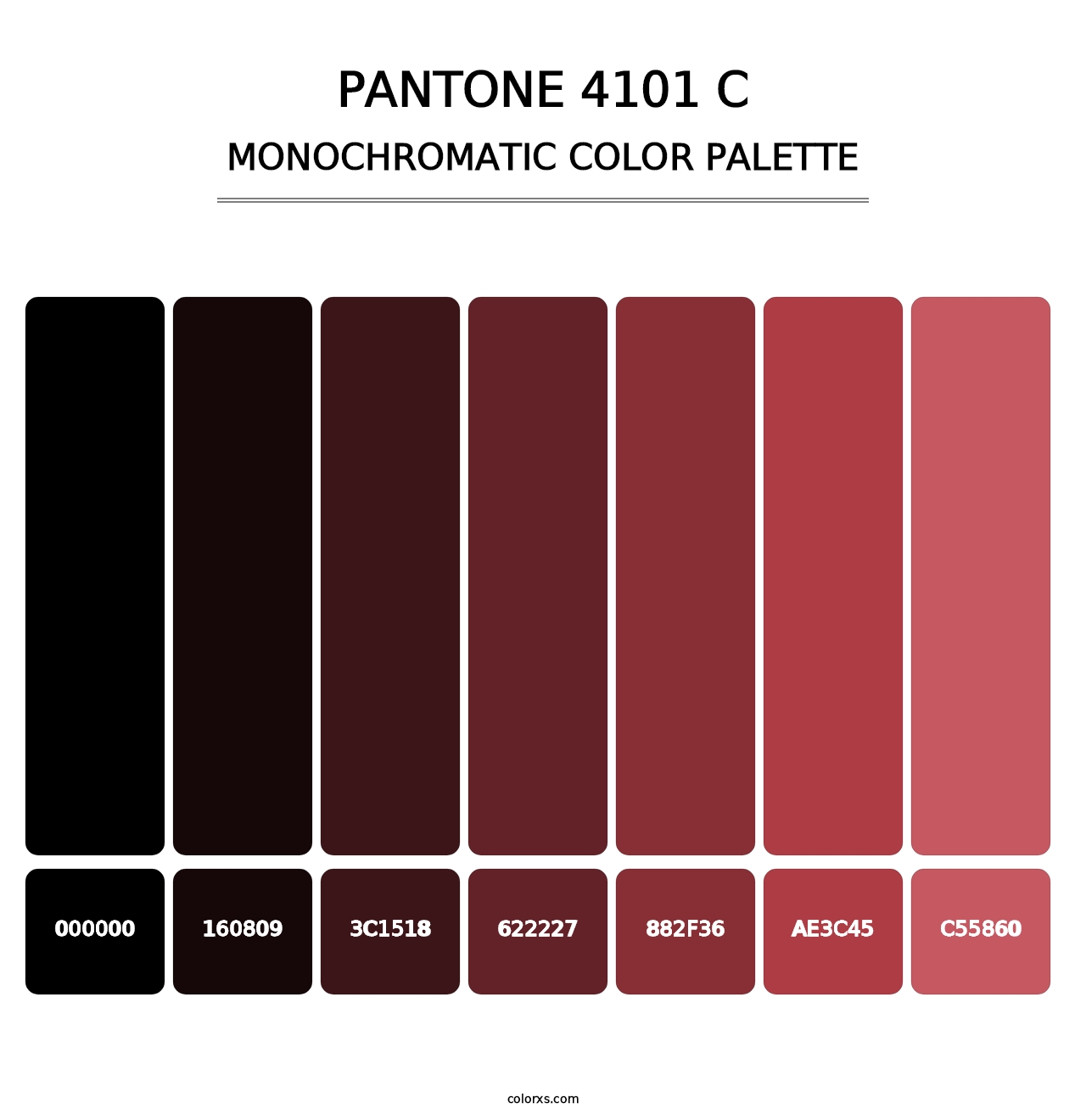 PANTONE 4101 C - Monochromatic Color Palette