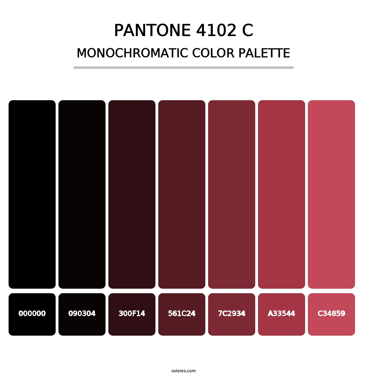 PANTONE 4102 C - Monochromatic Color Palette