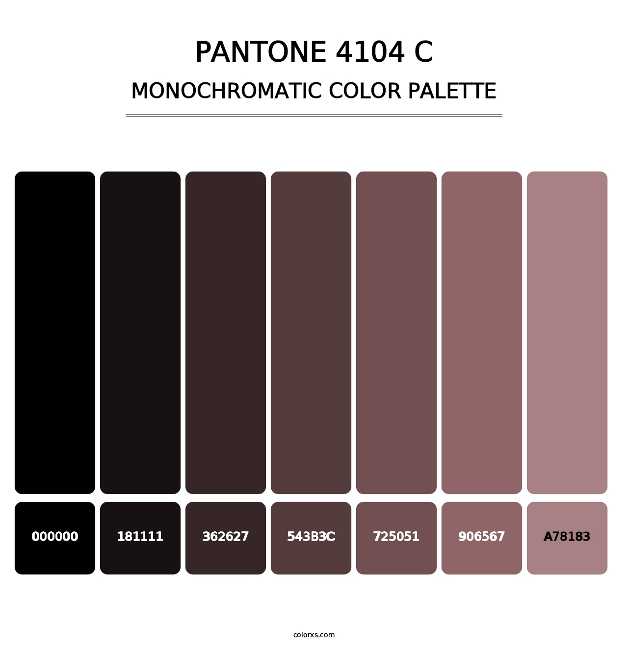 PANTONE 4104 C - Monochromatic Color Palette