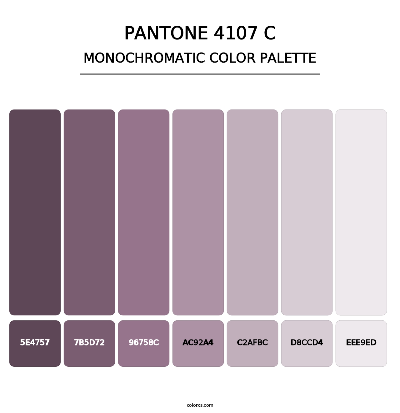 PANTONE 4107 C - Monochromatic Color Palette