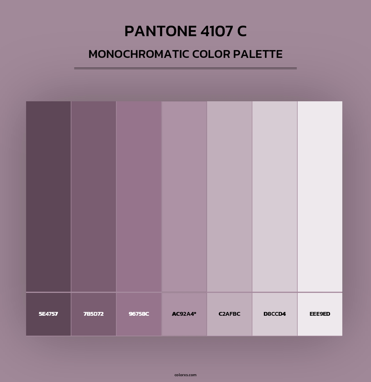 PANTONE 4107 C - Monochromatic Color Palette