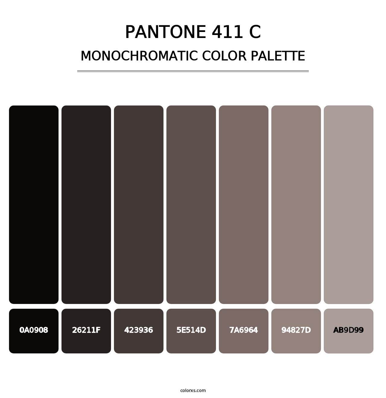 PANTONE 411 C - Monochromatic Color Palette