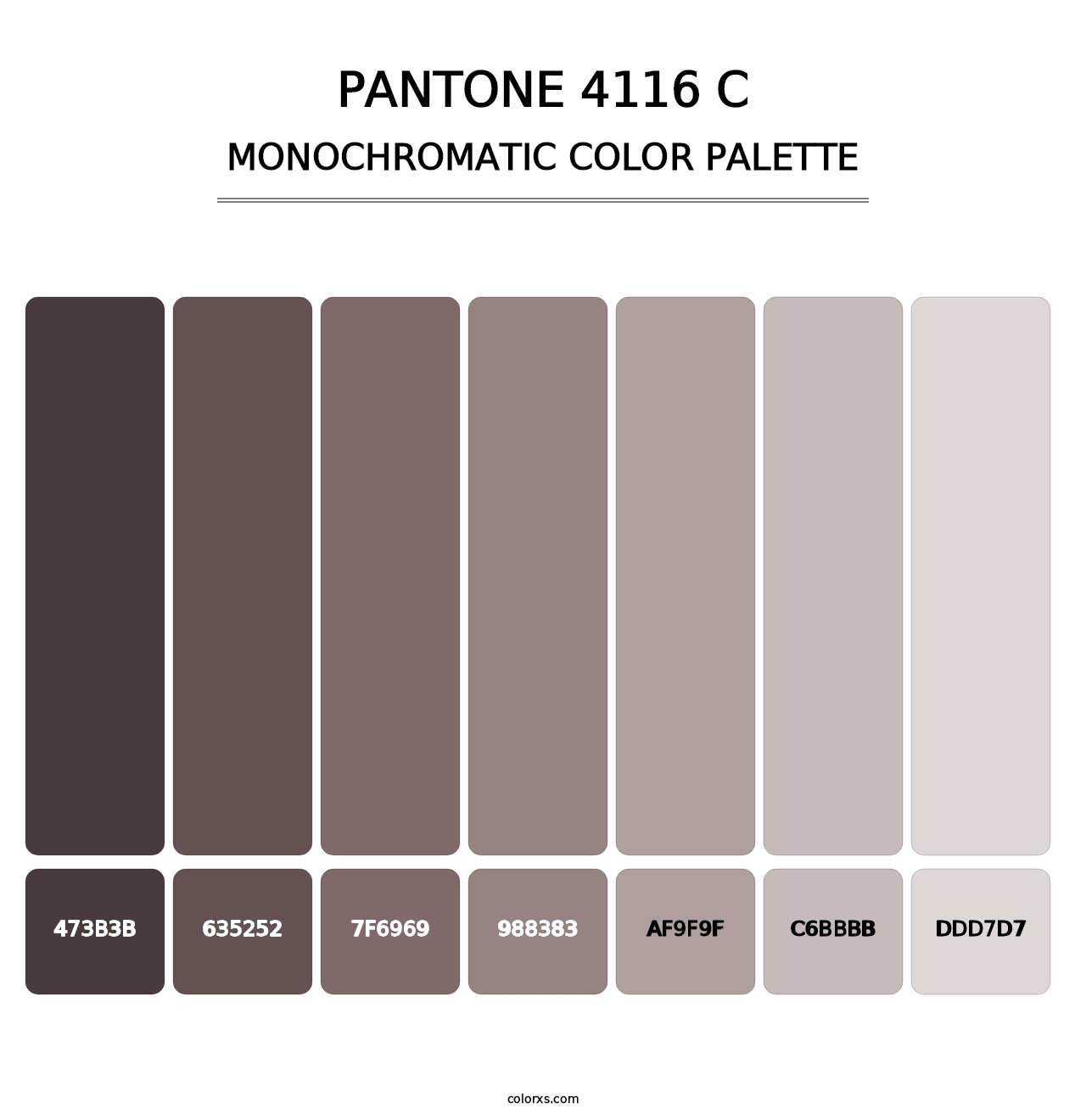 PANTONE 4116 C - Monochromatic Color Palette