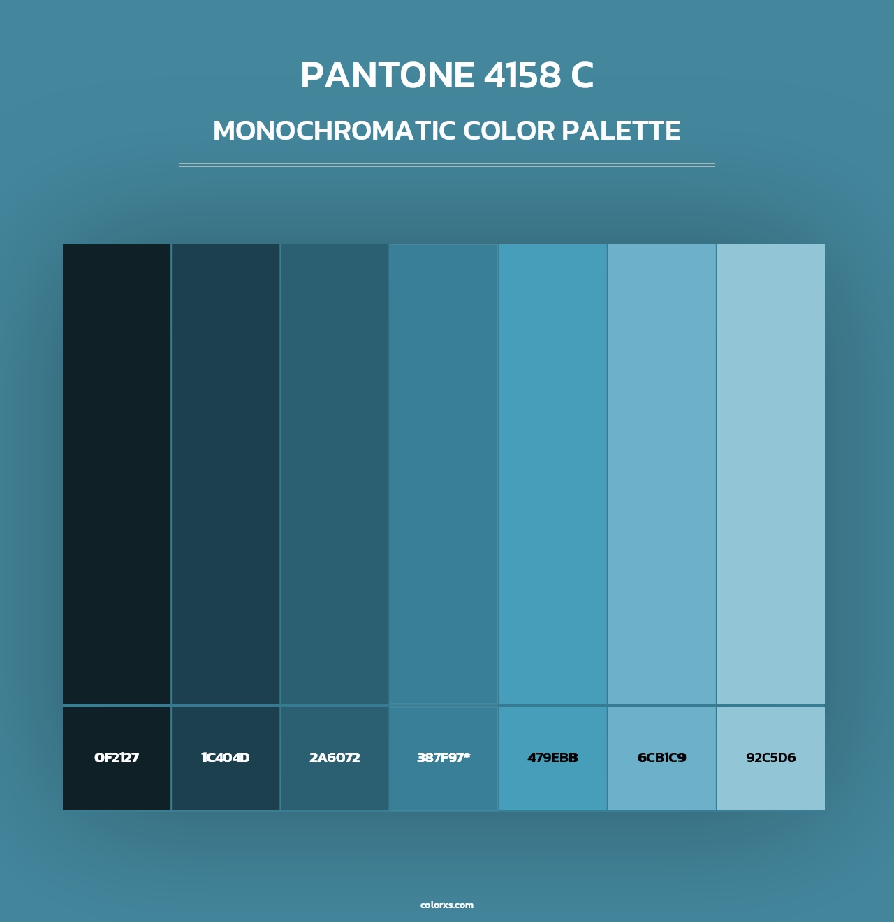PANTONE 4158 C - Monochromatic Color Palette