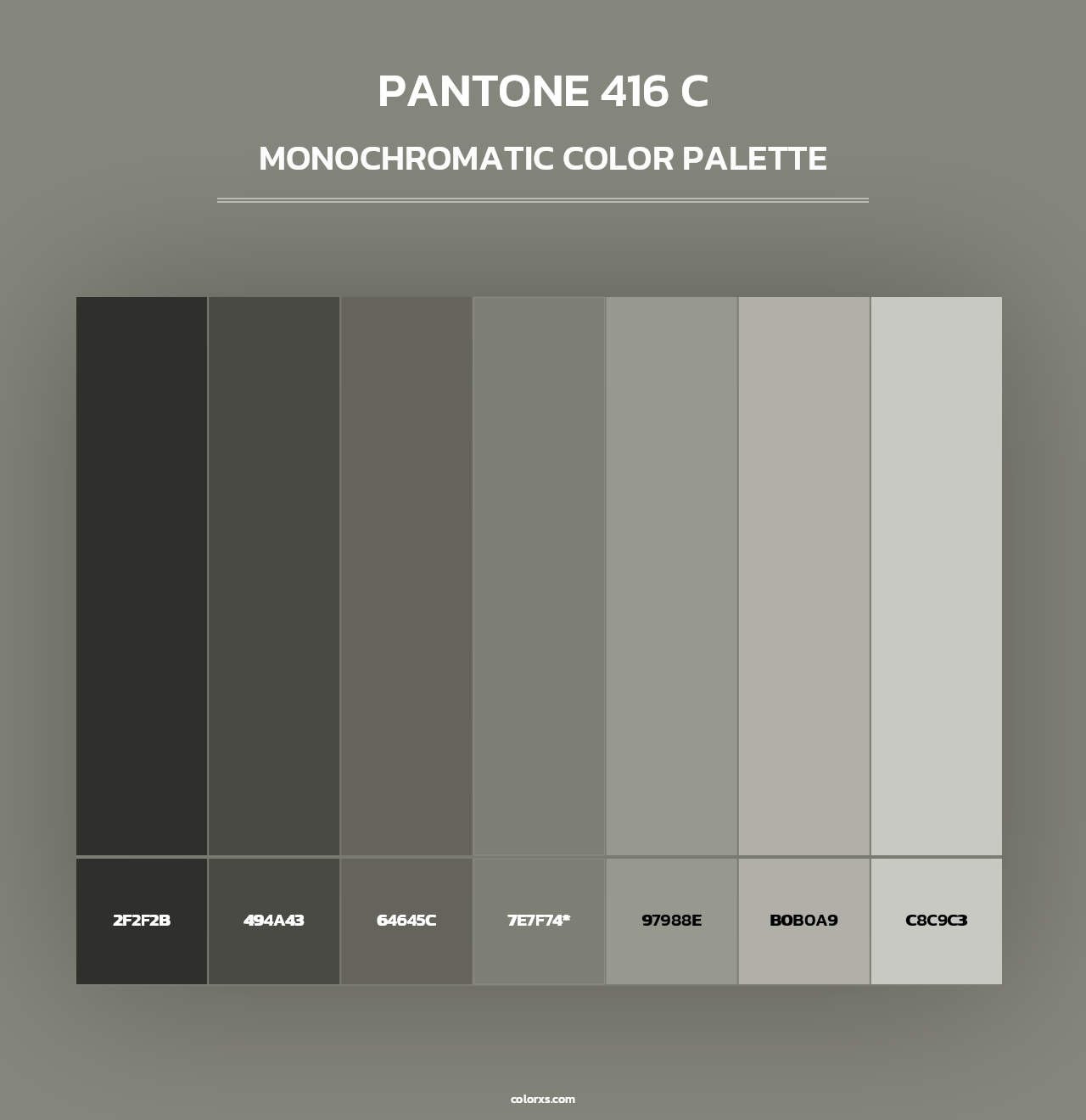 PANTONE 416 C - Monochromatic Color Palette
