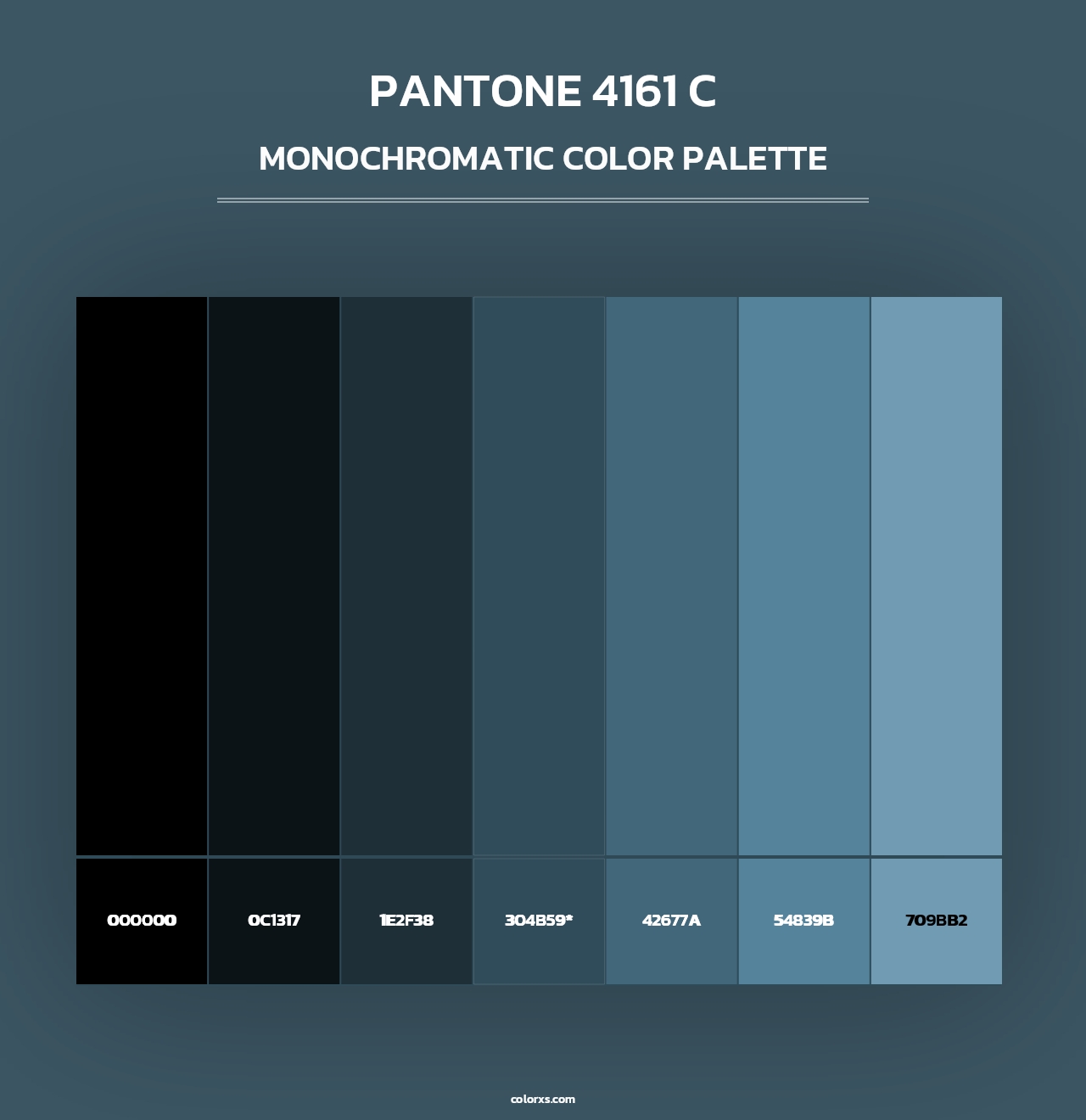 PANTONE 4161 C - Monochromatic Color Palette