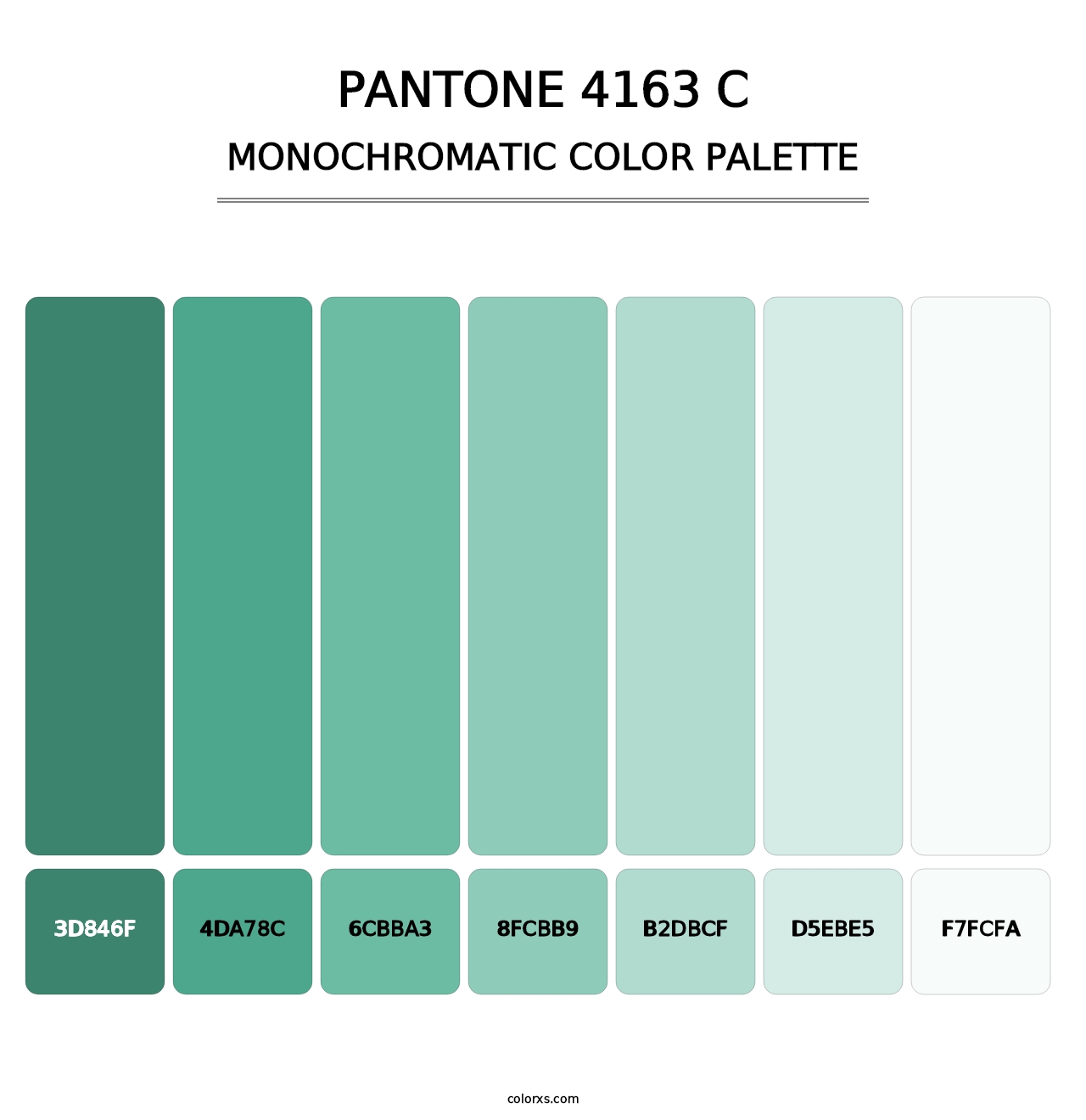 PANTONE 4163 C - Monochromatic Color Palette