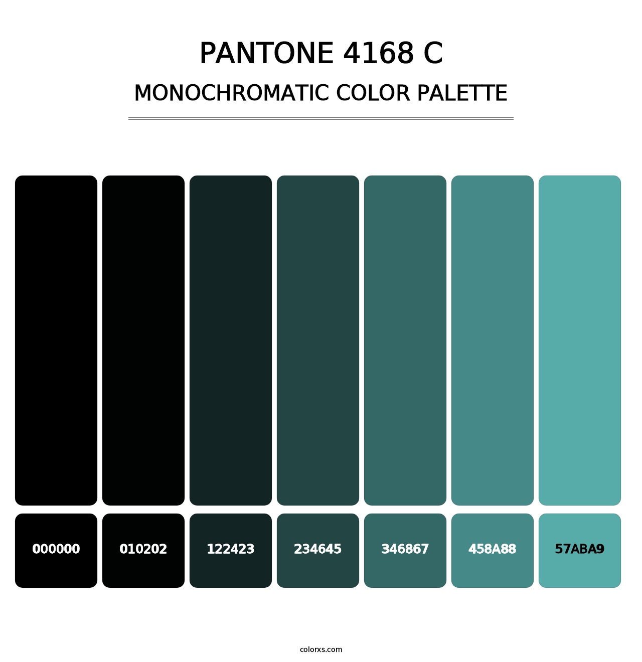 PANTONE 4168 C - Monochromatic Color Palette