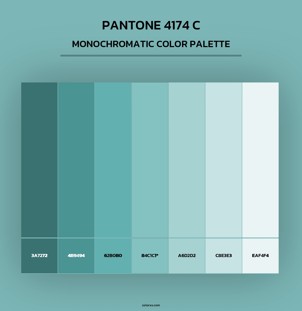 PANTONE 4174 C - Monochromatic Color Palette