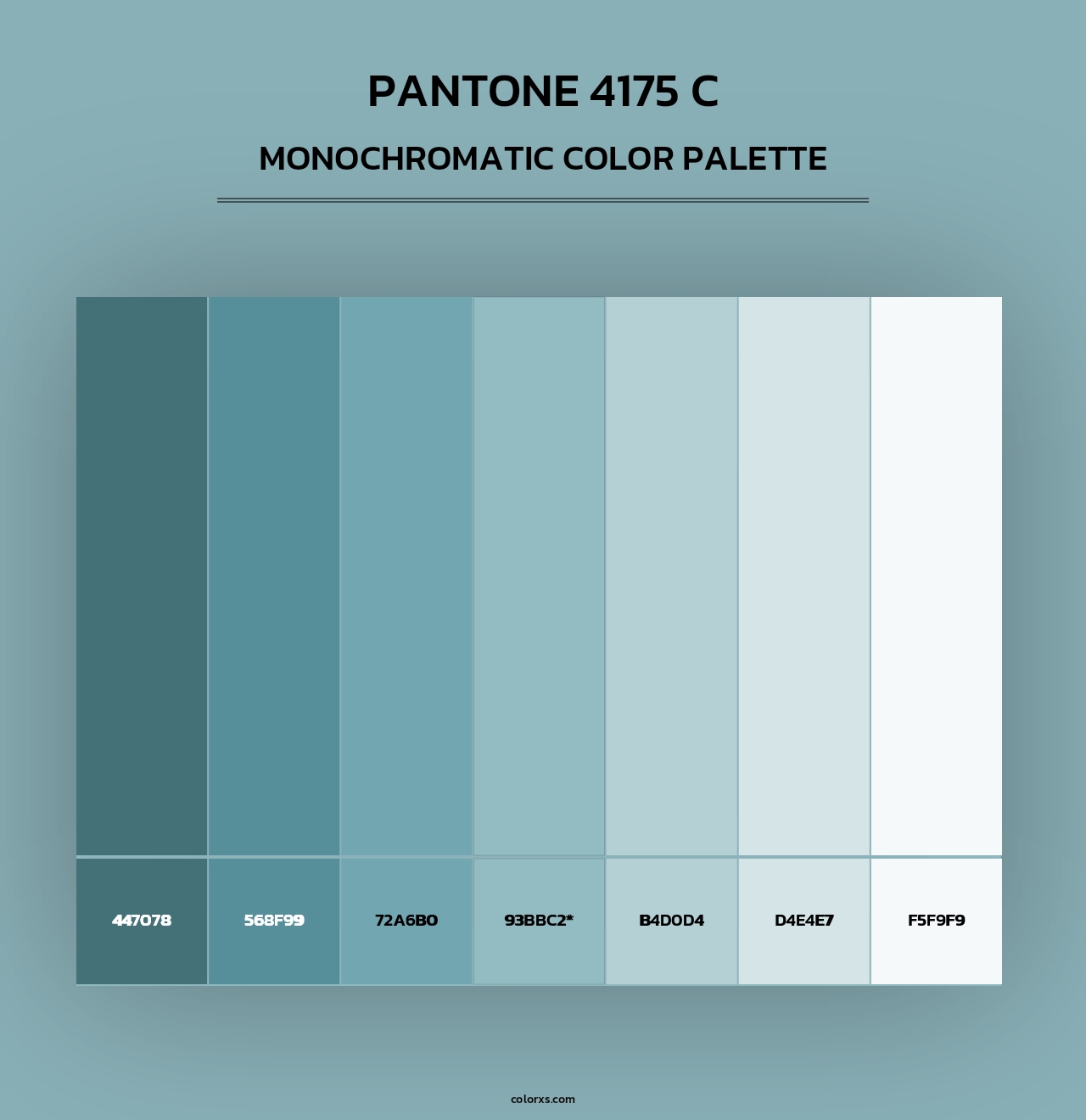 PANTONE 4175 C - Monochromatic Color Palette