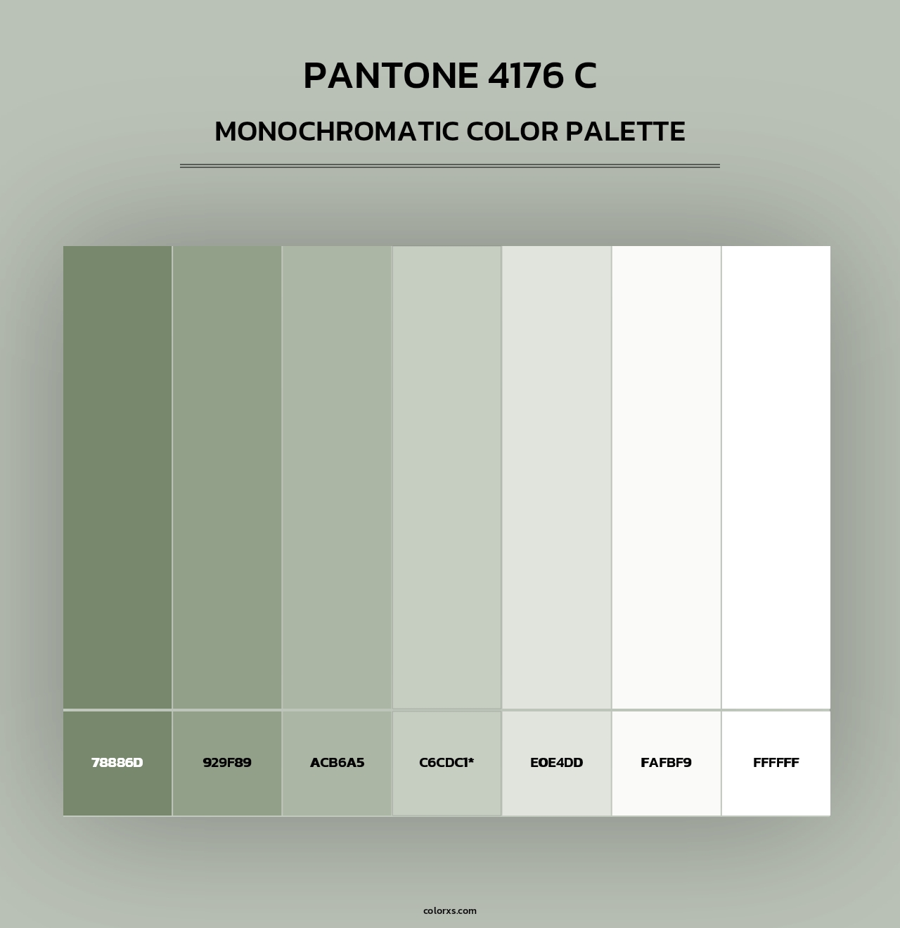 PANTONE 4176 C - Monochromatic Color Palette
