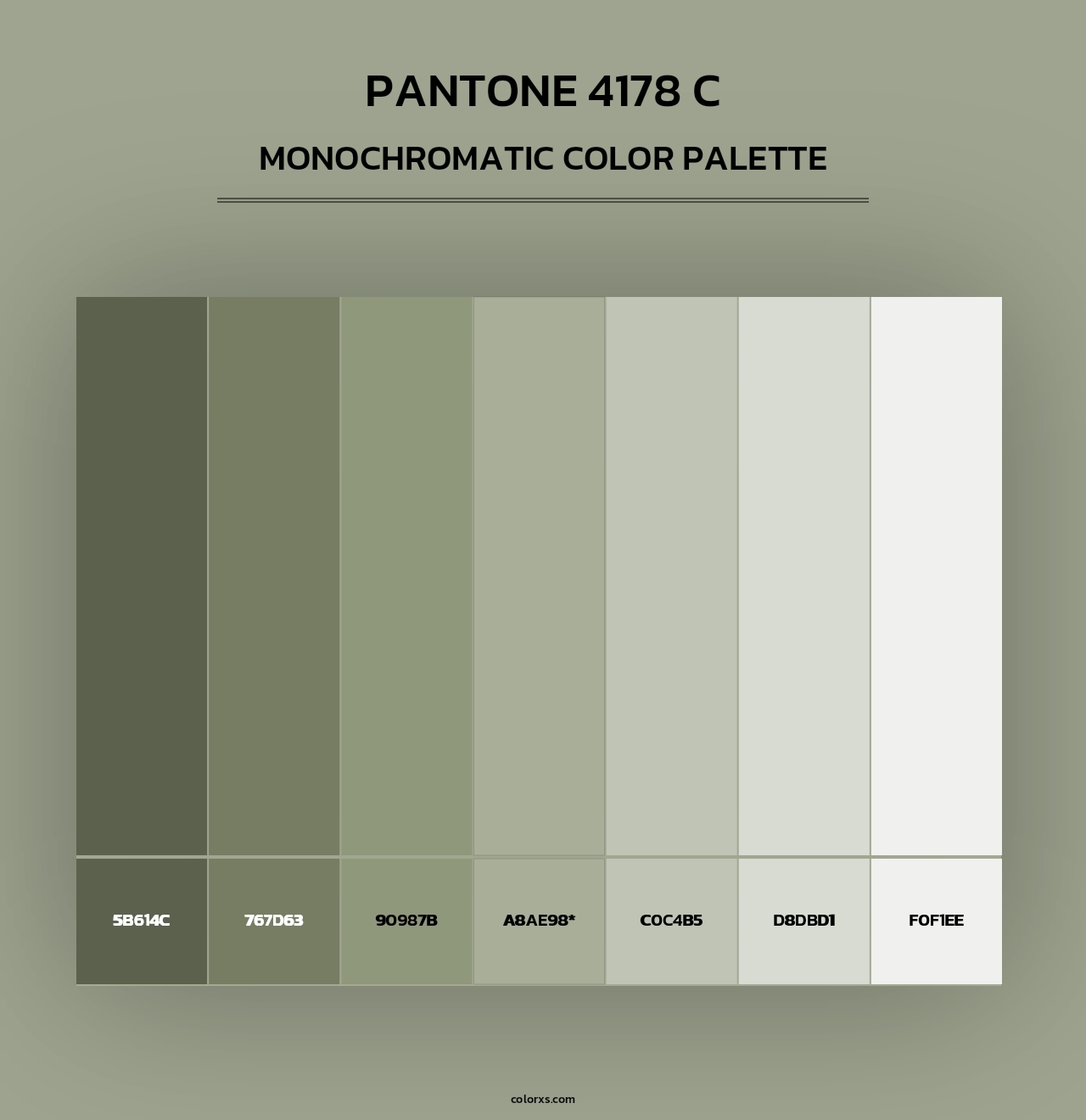 PANTONE 4178 C - Monochromatic Color Palette