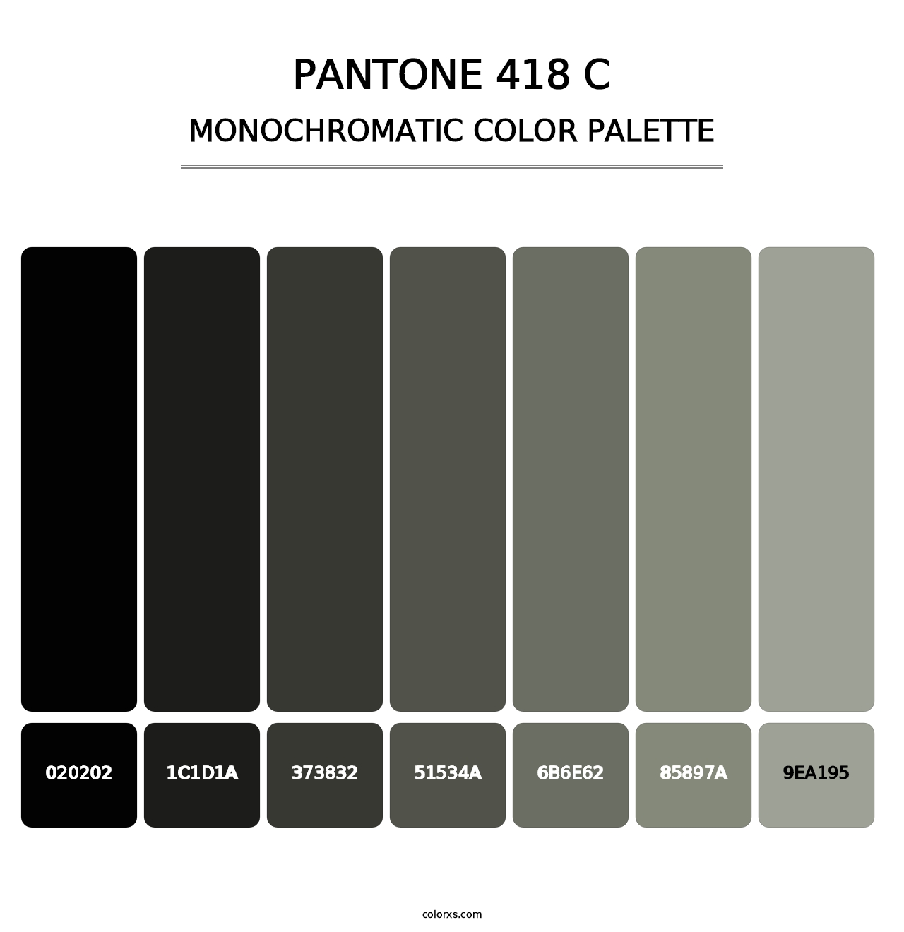 PANTONE 418 C - Monochromatic Color Palette