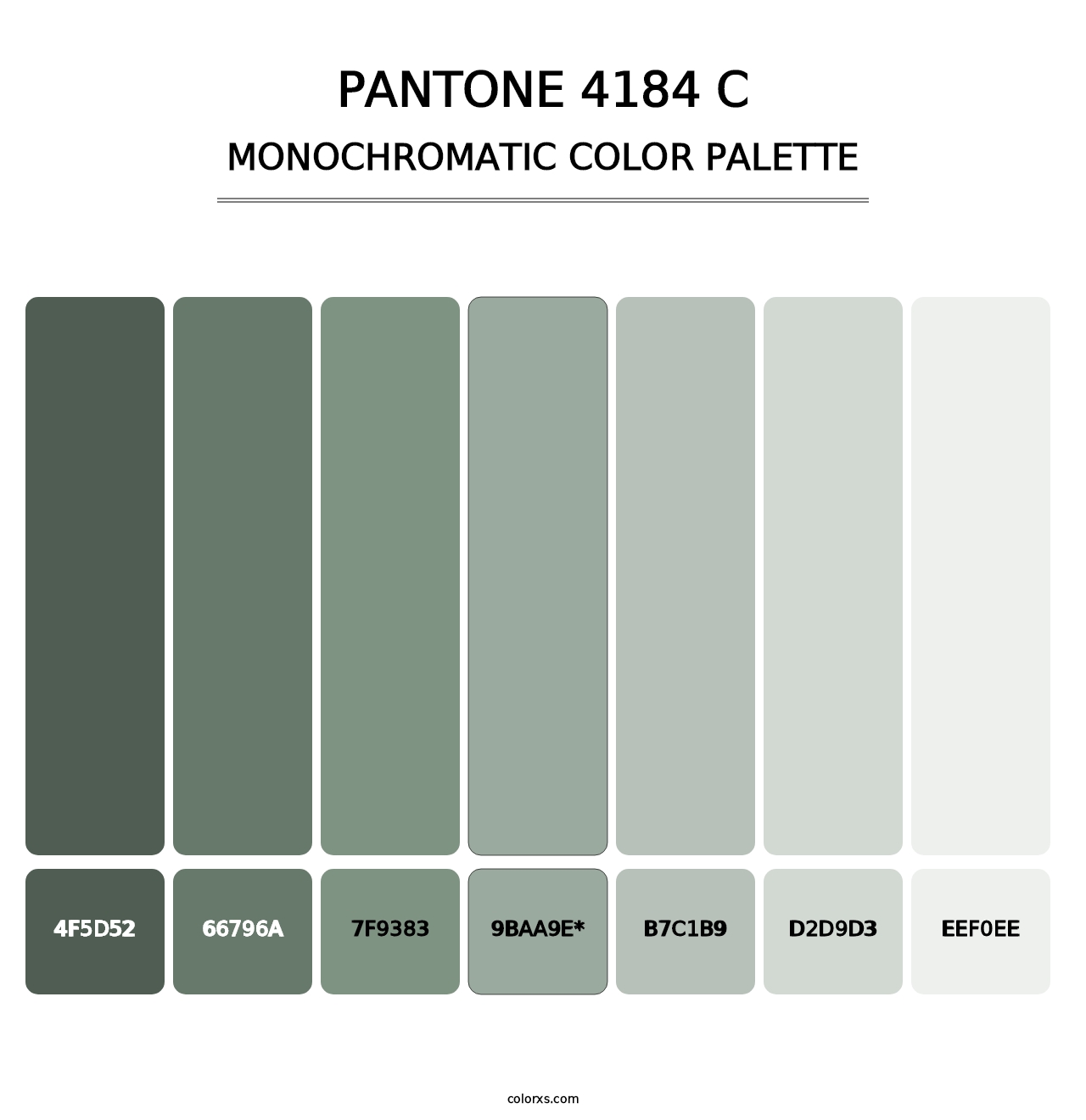 PANTONE 4184 C - Monochromatic Color Palette