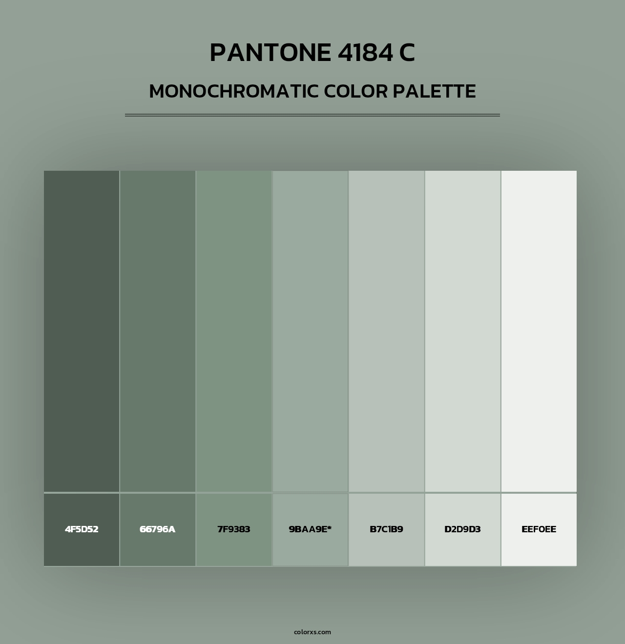 PANTONE 4184 C - Monochromatic Color Palette
