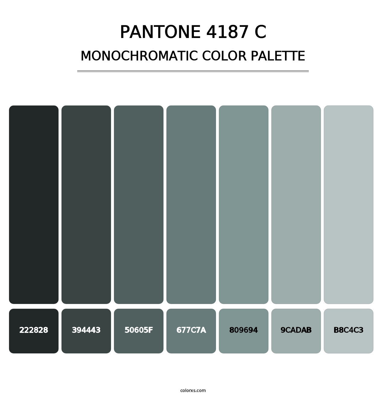 PANTONE 4187 C - Monochromatic Color Palette