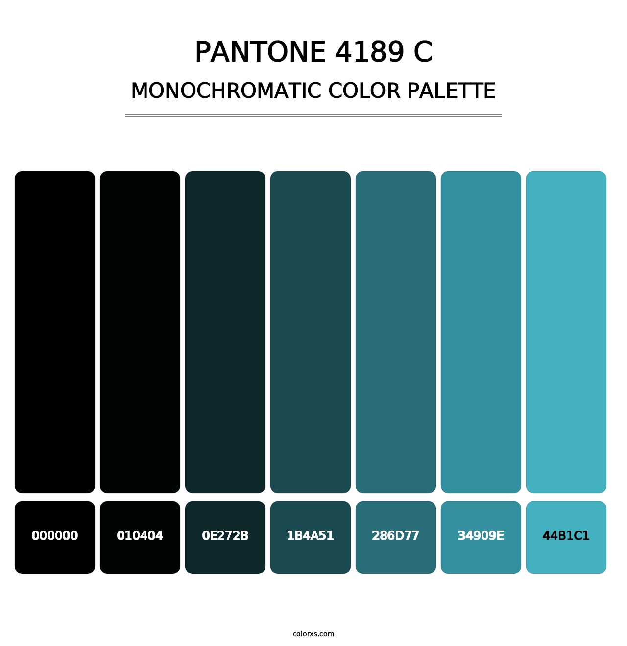 PANTONE 4189 C - Monochromatic Color Palette