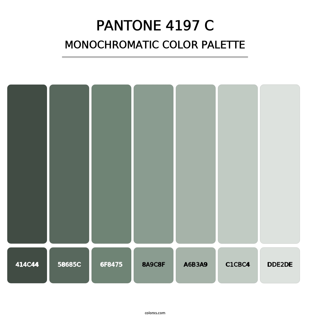 PANTONE 4197 C - Monochromatic Color Palette