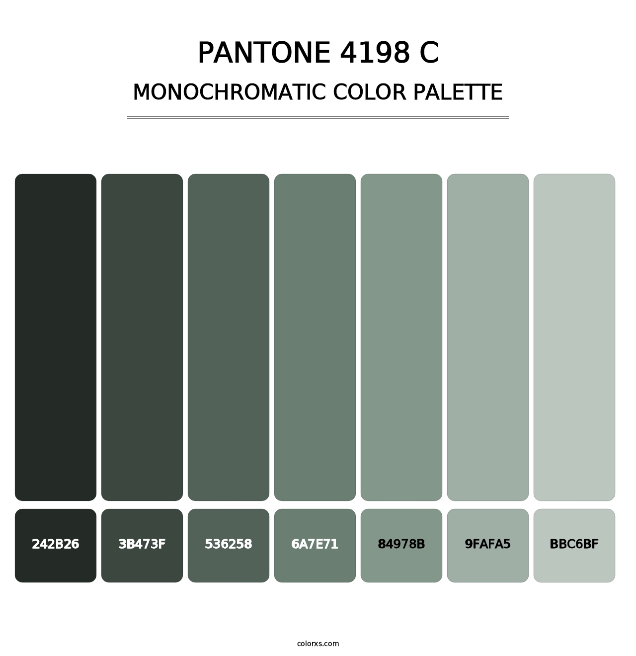 PANTONE 4198 C - Monochromatic Color Palette