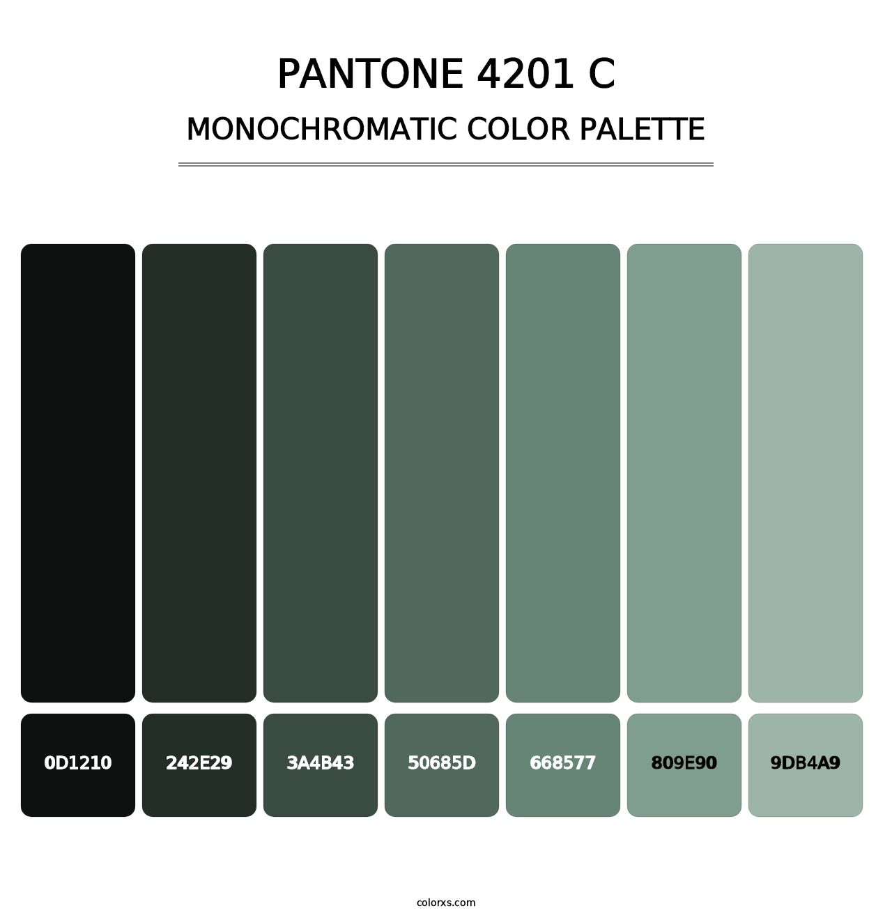 PANTONE 4201 C - Monochromatic Color Palette