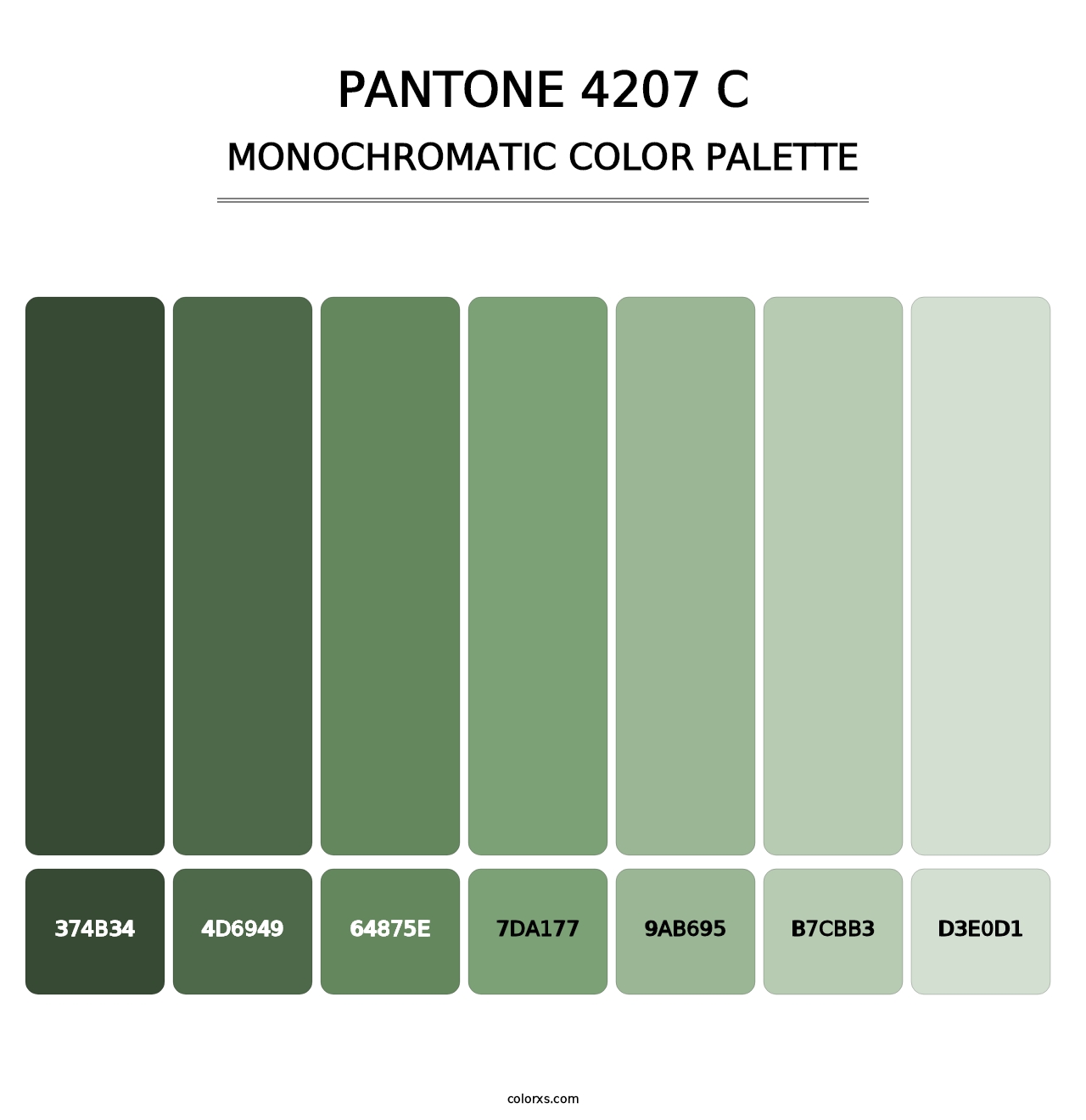 PANTONE 4207 C - Monochromatic Color Palette