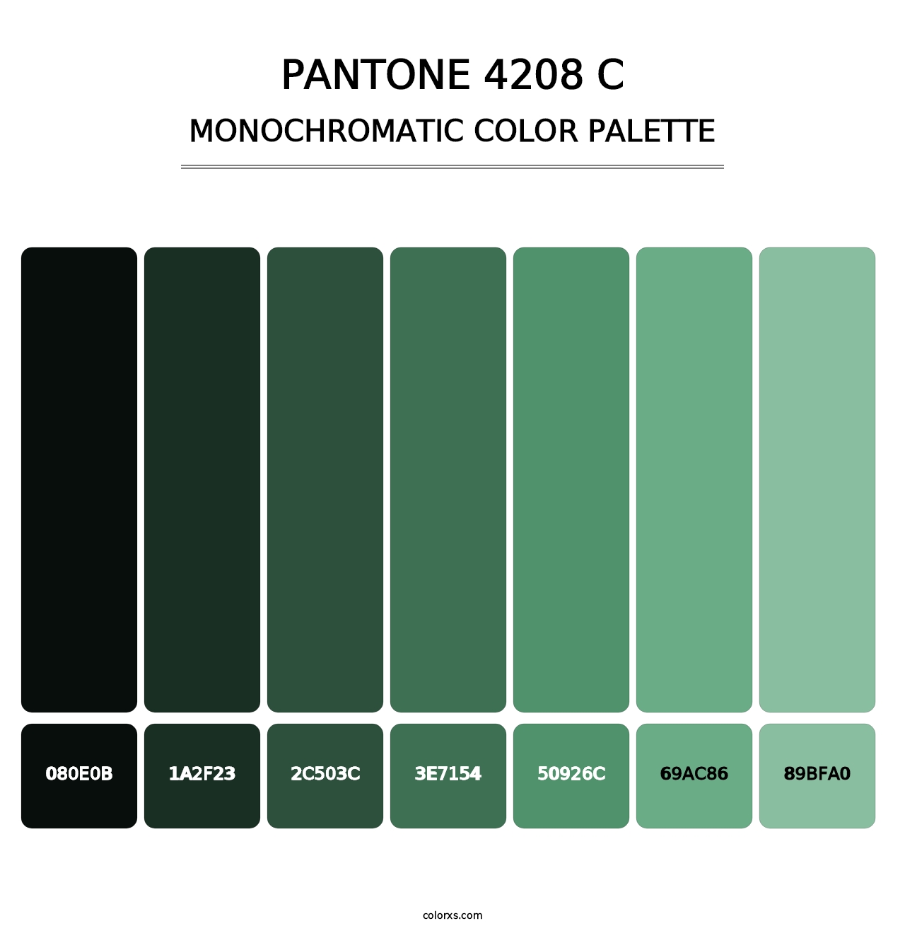 PANTONE 4208 C - Monochromatic Color Palette