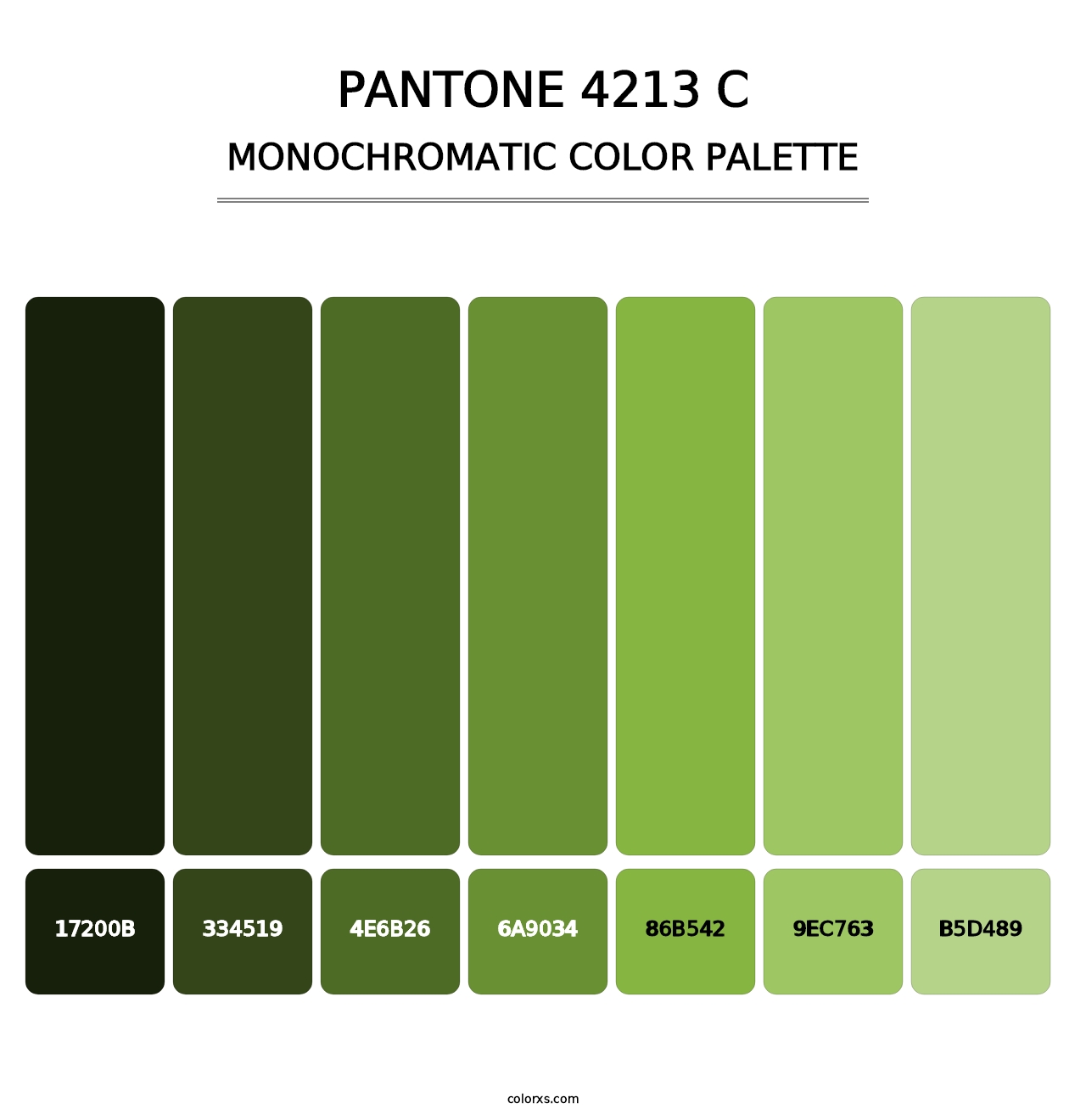 PANTONE 4213 C - Monochromatic Color Palette
