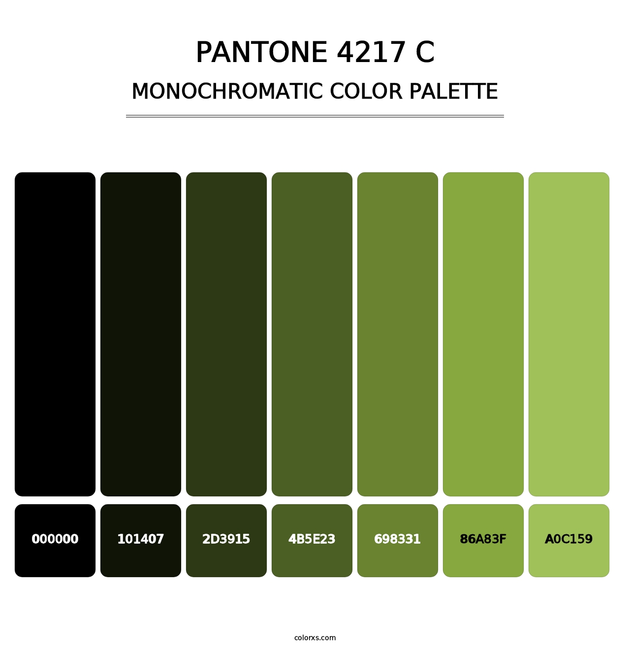 PANTONE 4217 C - Monochromatic Color Palette
