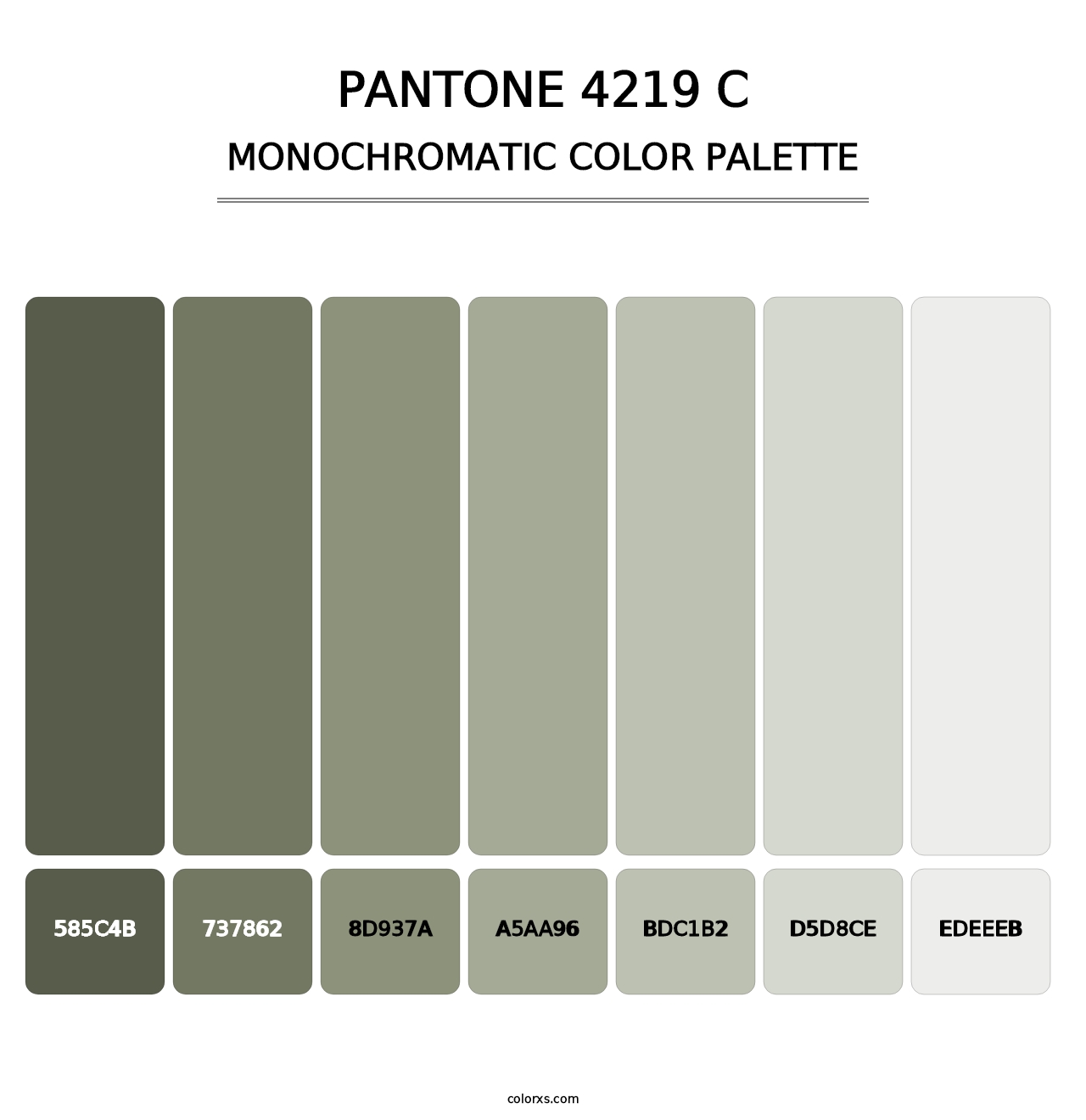 PANTONE 4219 C - Monochromatic Color Palette