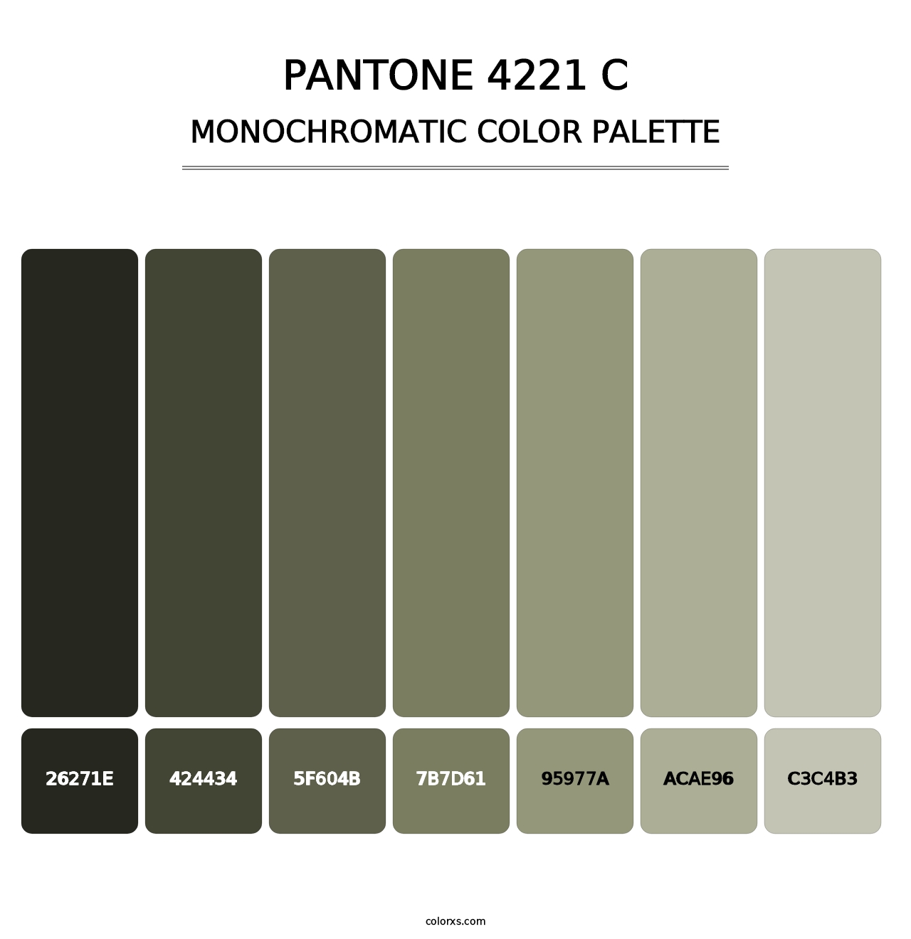 PANTONE 4221 C - Monochromatic Color Palette