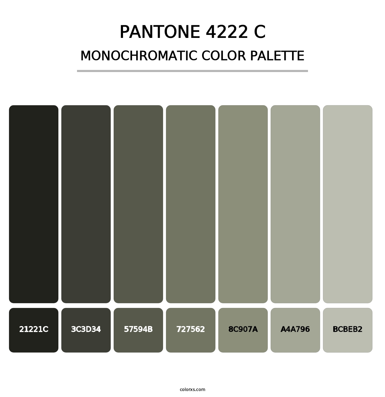 PANTONE 4222 C - Monochromatic Color Palette