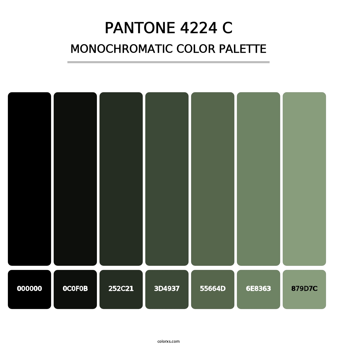PANTONE 4224 C - Monochromatic Color Palette