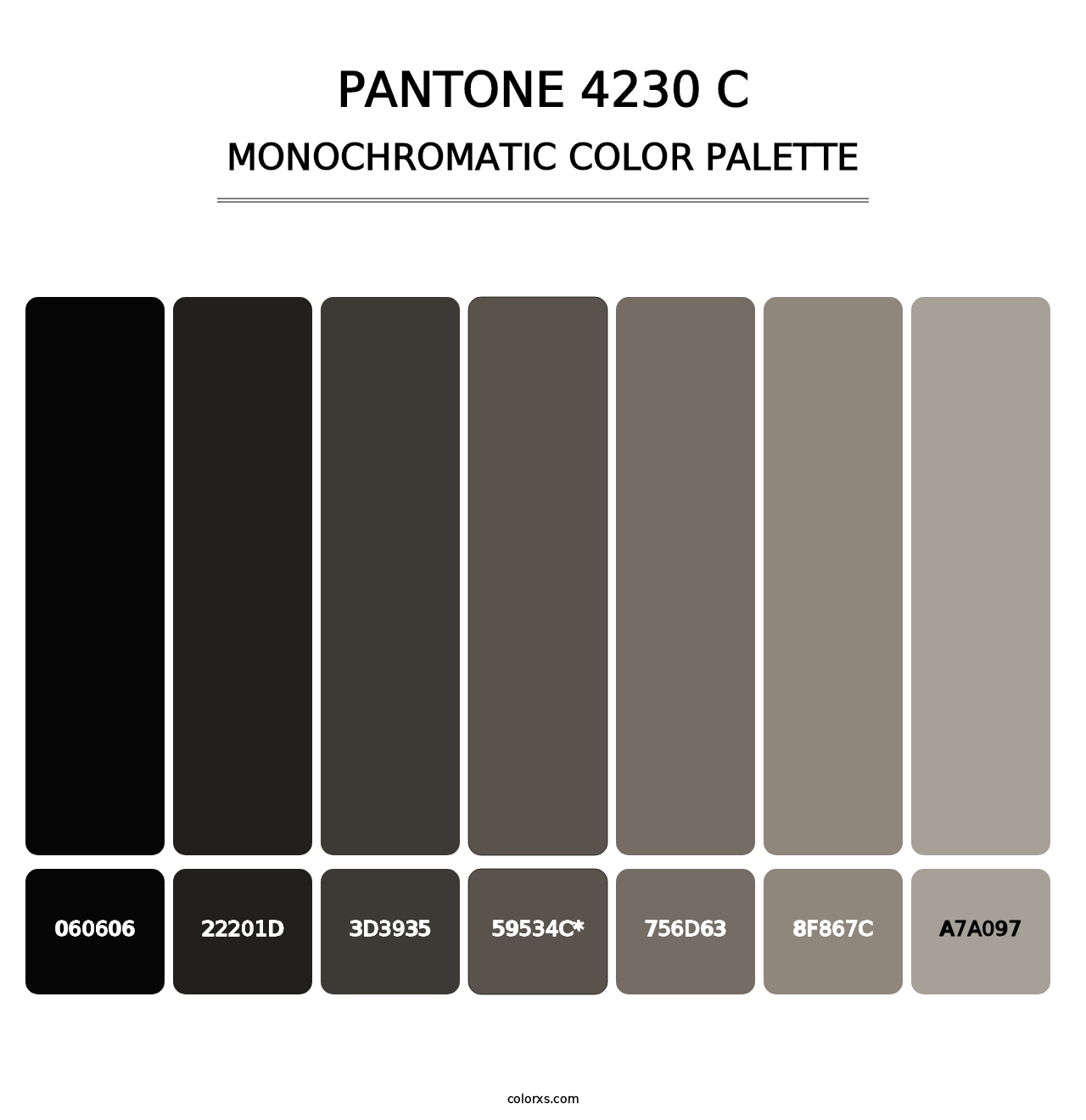 PANTONE 4230 C - Monochromatic Color Palette