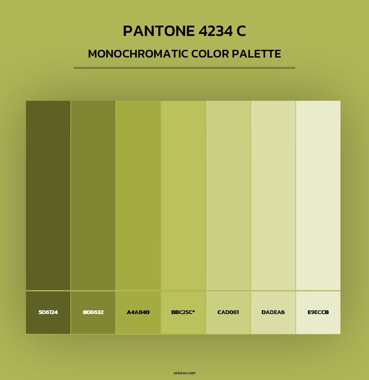 PANTONE 4234 C - Monochromatic Color Palette