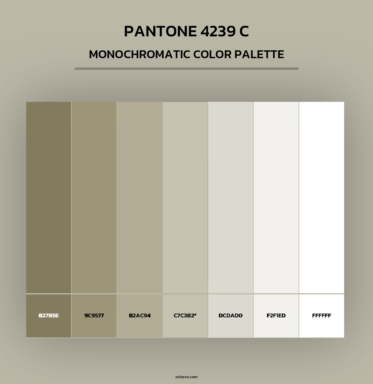 PANTONE 4239 C - Monochromatic Color Palette