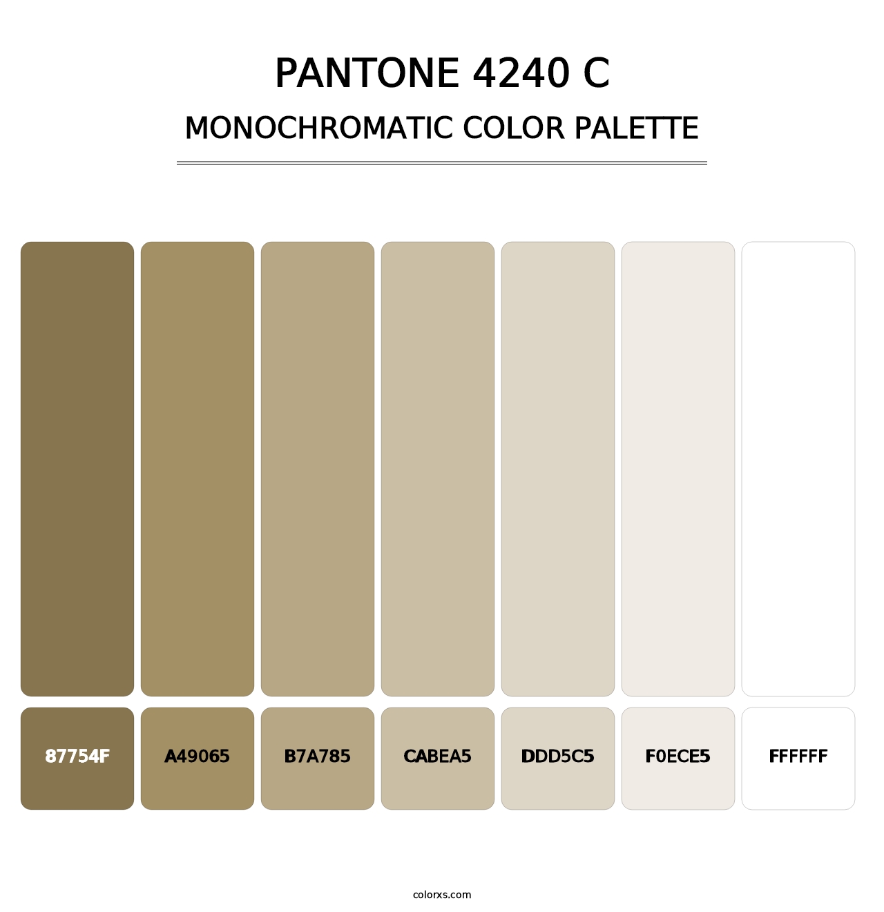 PANTONE 4240 C - Monochromatic Color Palette