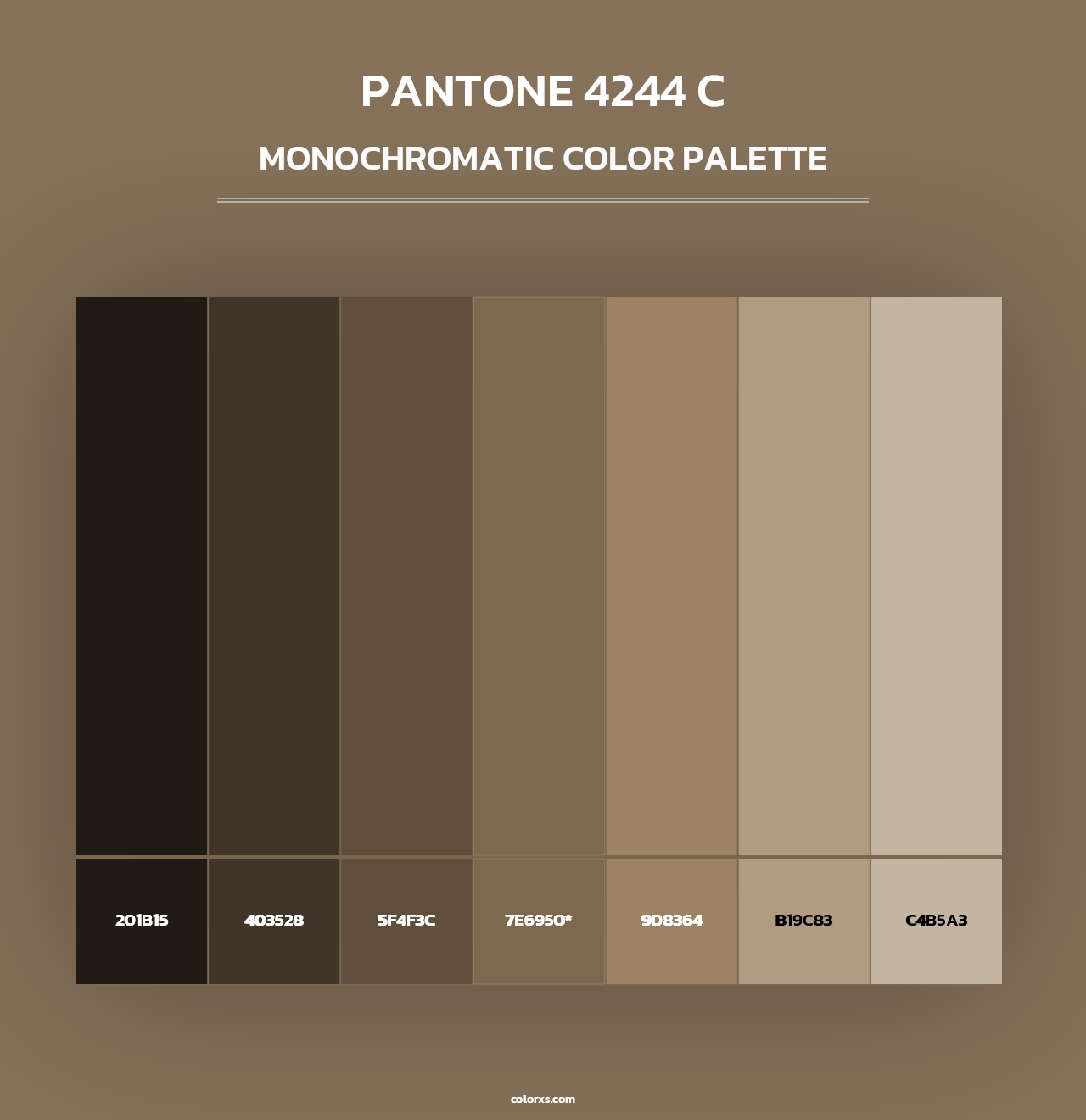 PANTONE 4244 C - Monochromatic Color Palette