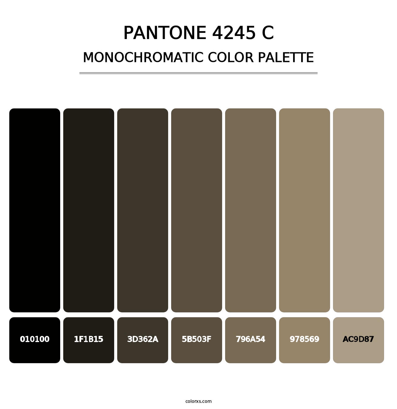 PANTONE 4245 C - Monochromatic Color Palette