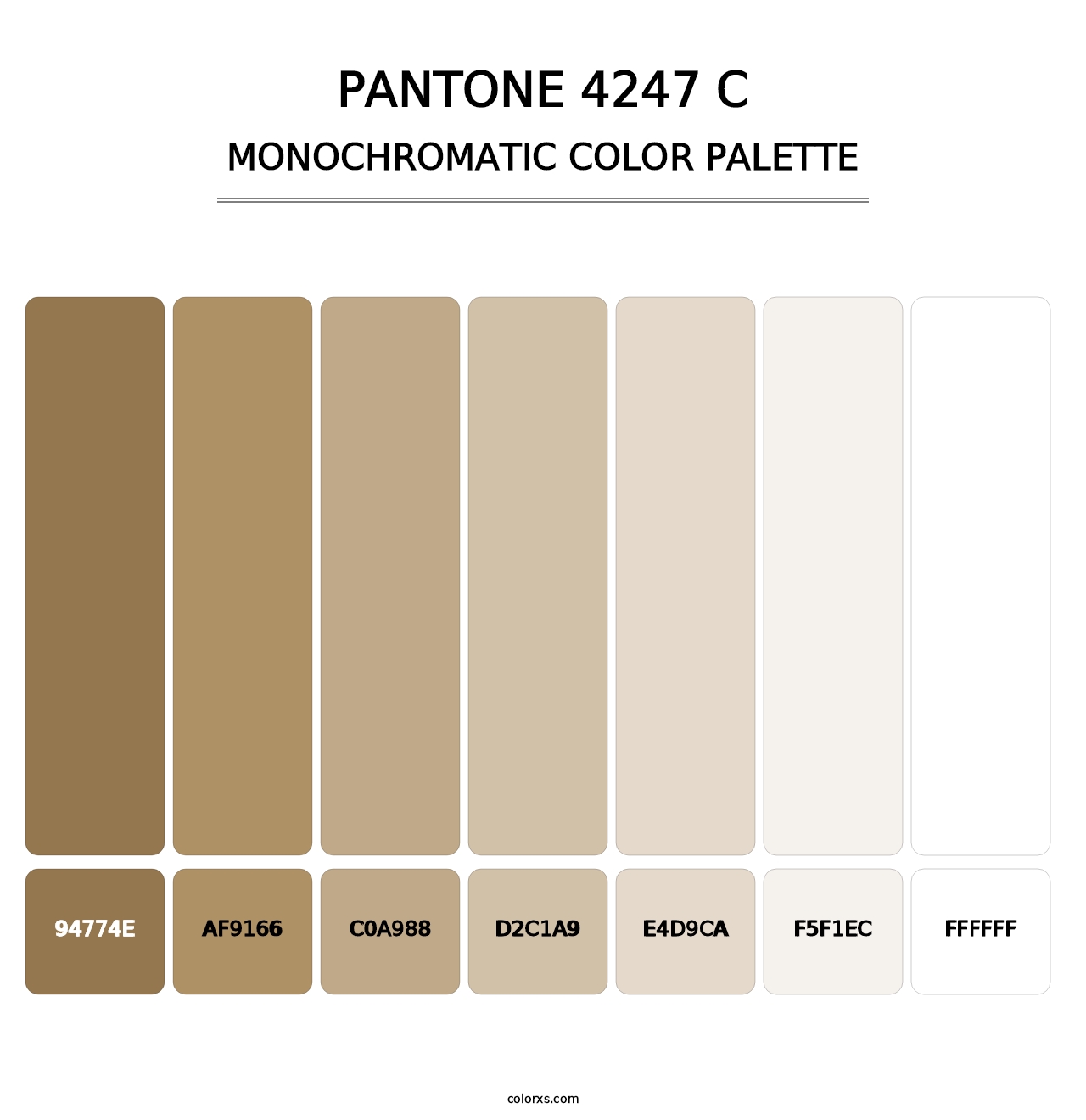 PANTONE 4247 C - Monochromatic Color Palette
