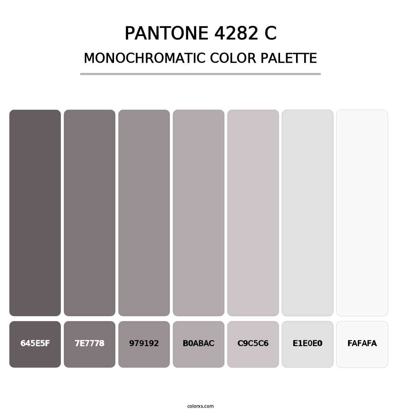 PANTONE 4282 C - Monochromatic Color Palette