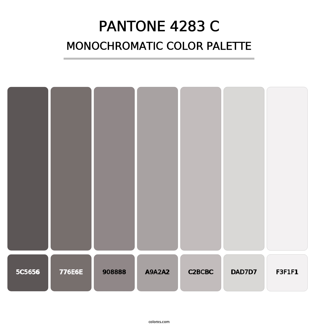 PANTONE 4283 C - Monochromatic Color Palette