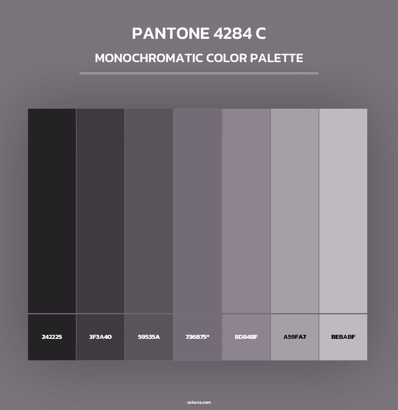 PANTONE 4284 C - Monochromatic Color Palette