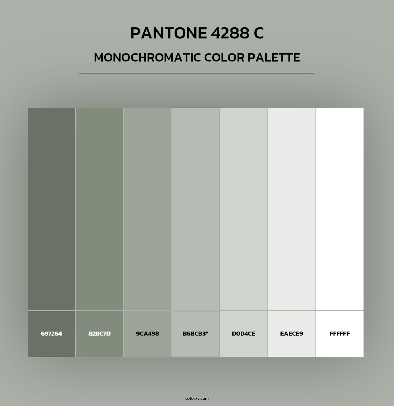 PANTONE 4288 C - Monochromatic Color Palette