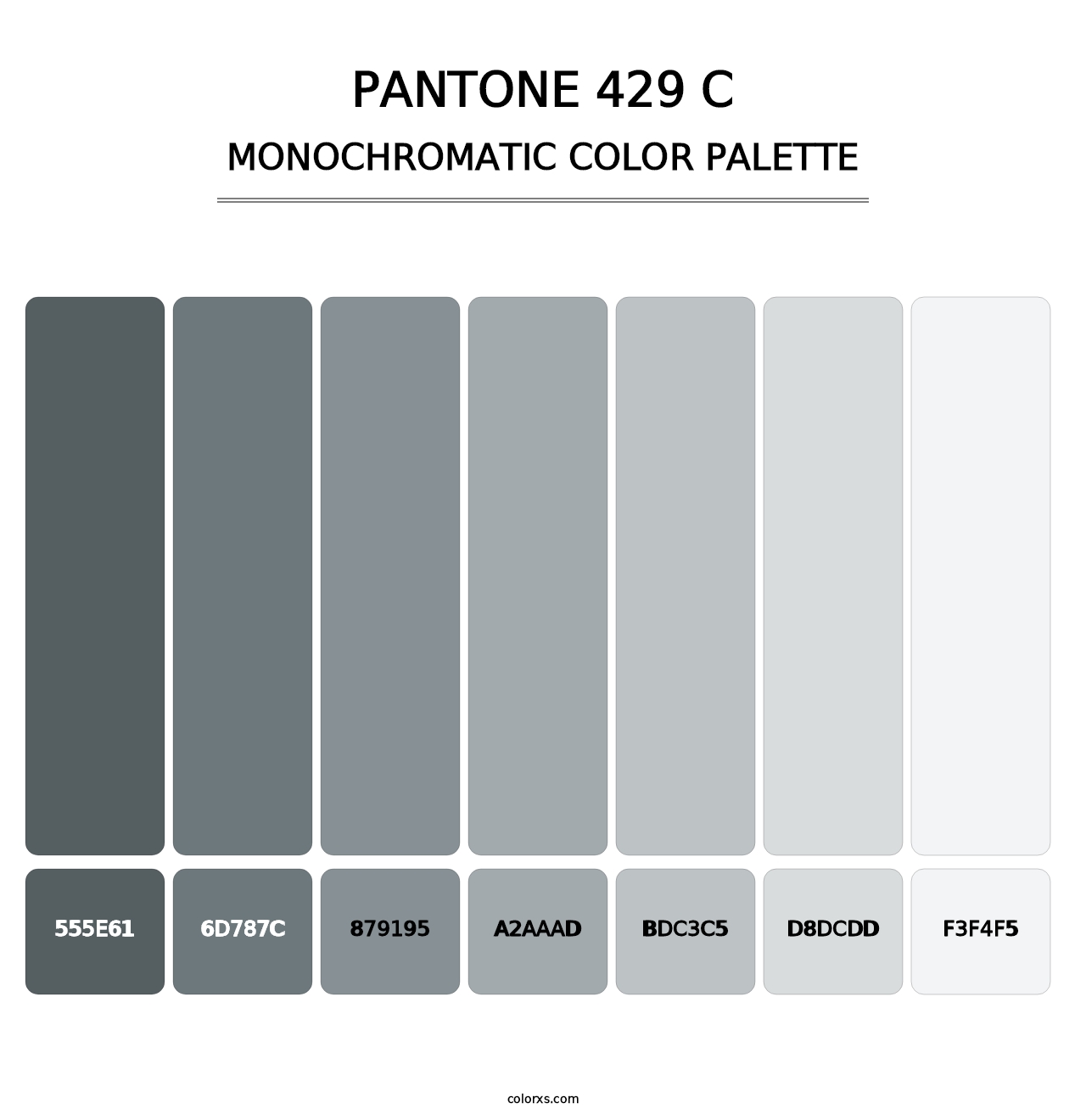 PANTONE 429 C - Monochromatic Color Palette