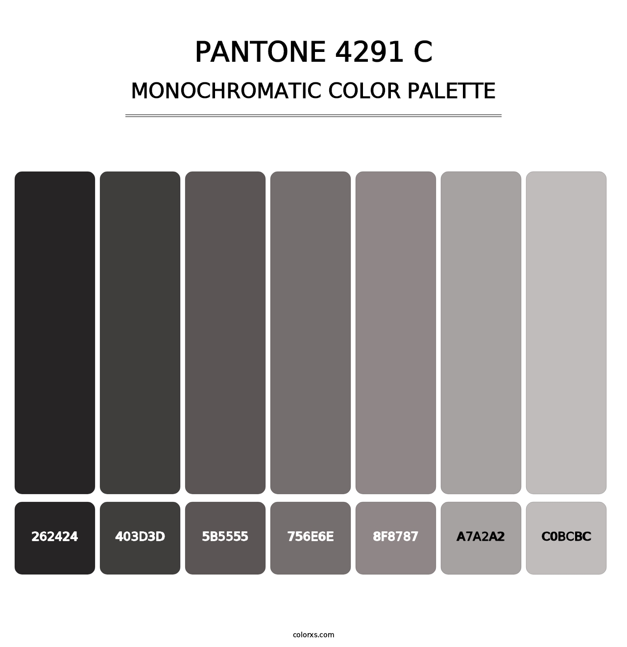 PANTONE 4291 C - Monochromatic Color Palette