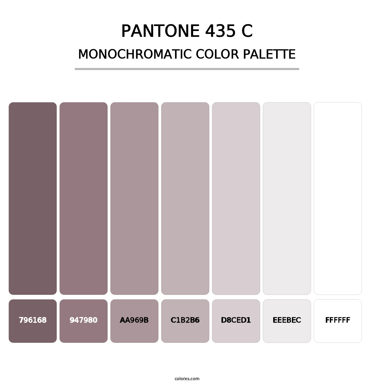 PANTONE 435 C - Monochromatic Color Palette